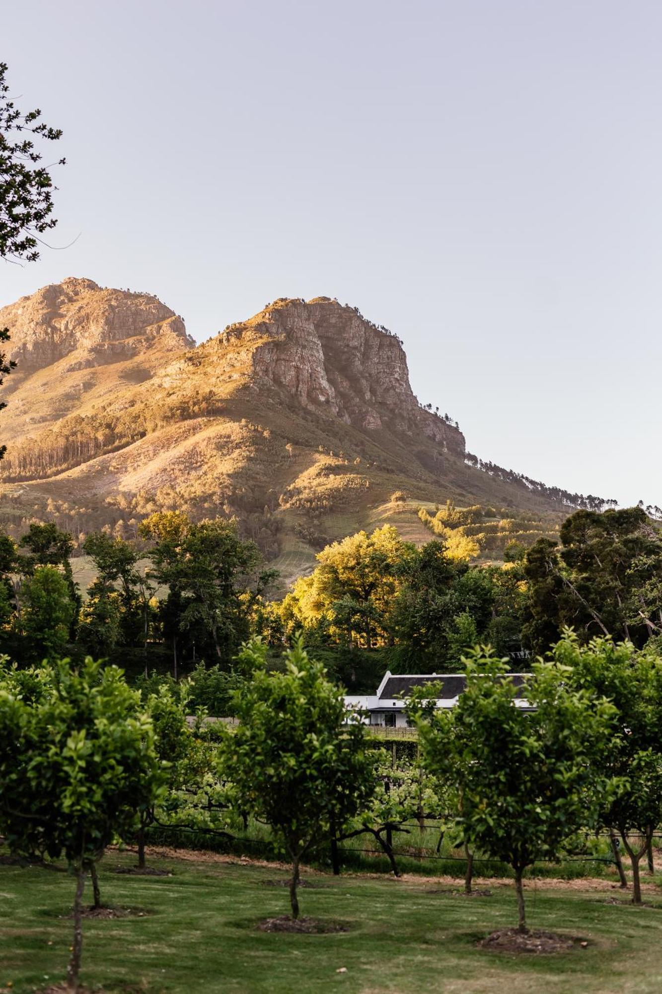 Hotel Molenvliet Vineyards Stellenbosch Exterior foto