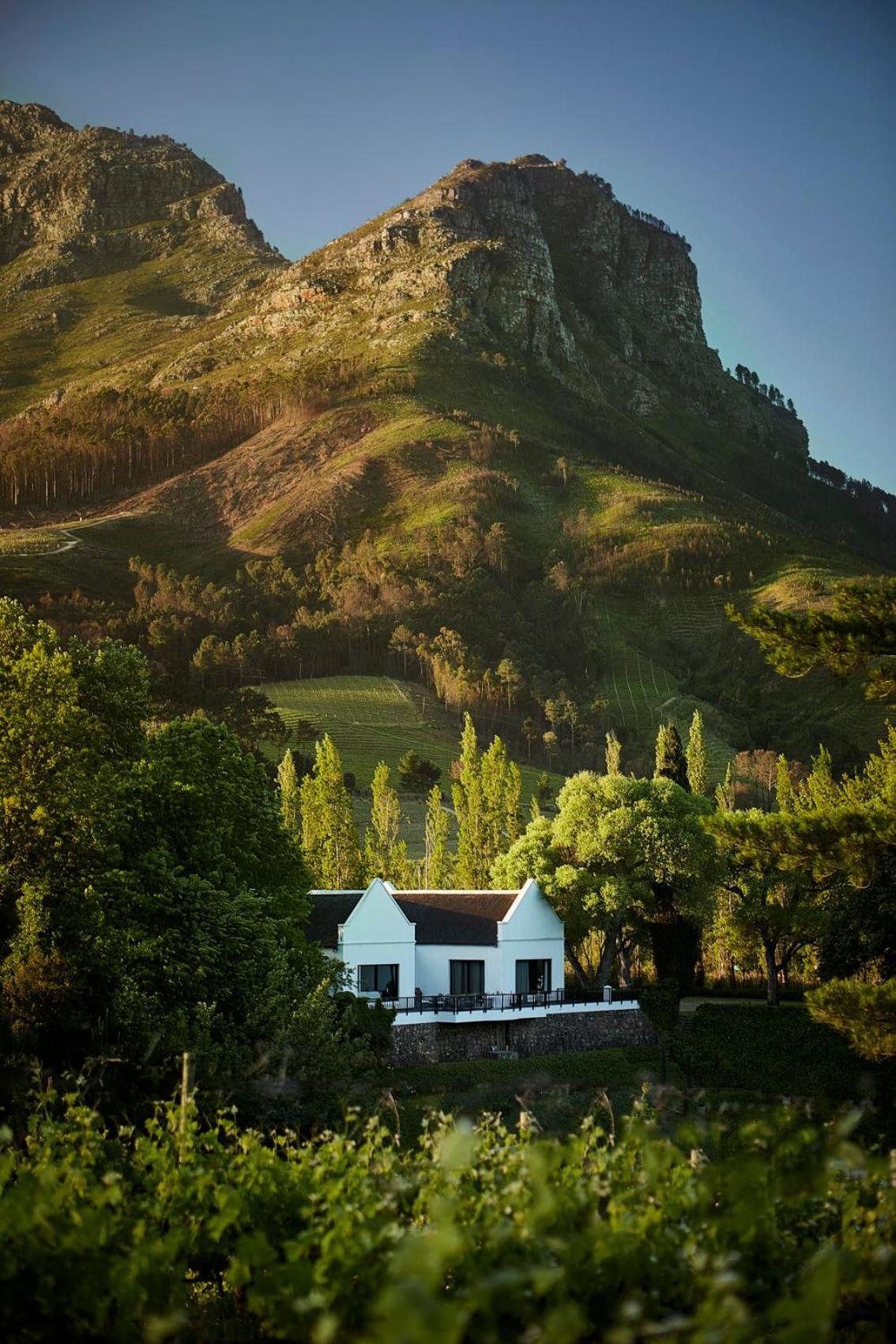 Hotel Molenvliet Vineyards Stellenbosch Exterior foto