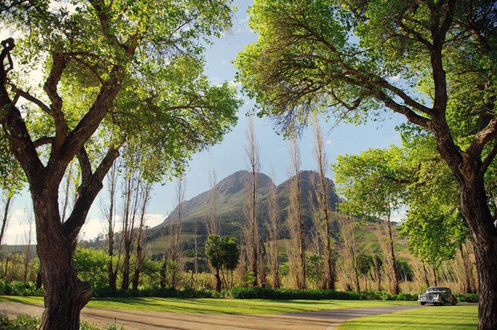 Hotel Molenvliet Vineyards Stellenbosch Exterior foto